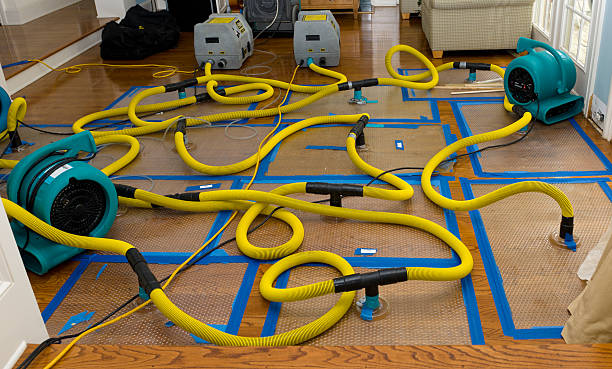 Professional Sewage Cleanup technician working in Irvine, CA